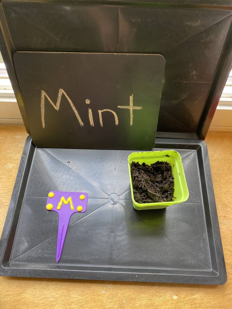 Photo of a small container labeled mint, with labels being in puffy paint and high contrast.