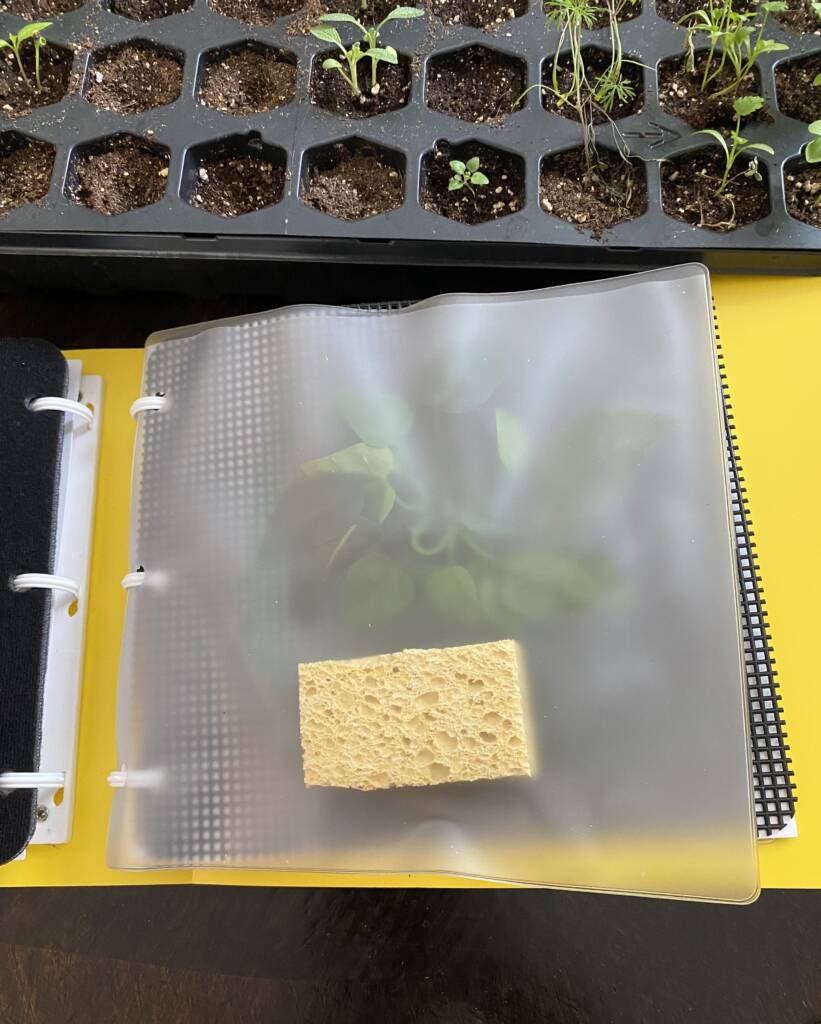 A page in a gardening book with a sponge and a bunch of leaves