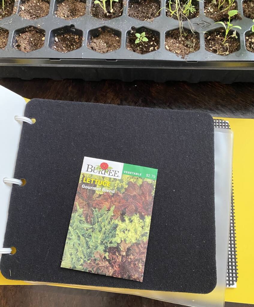 A page in a gardening book with a pack of real seeds