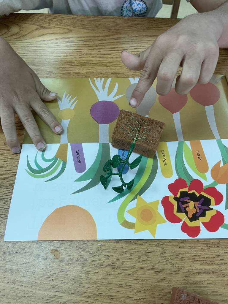 Student exploring a model of a small plant and the roots in the ground with the book, "Planting a Rainbow" out looking at the plants in the ground.