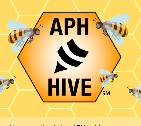 APH Hive logo that looks like a bee cell with bees buzzing about.