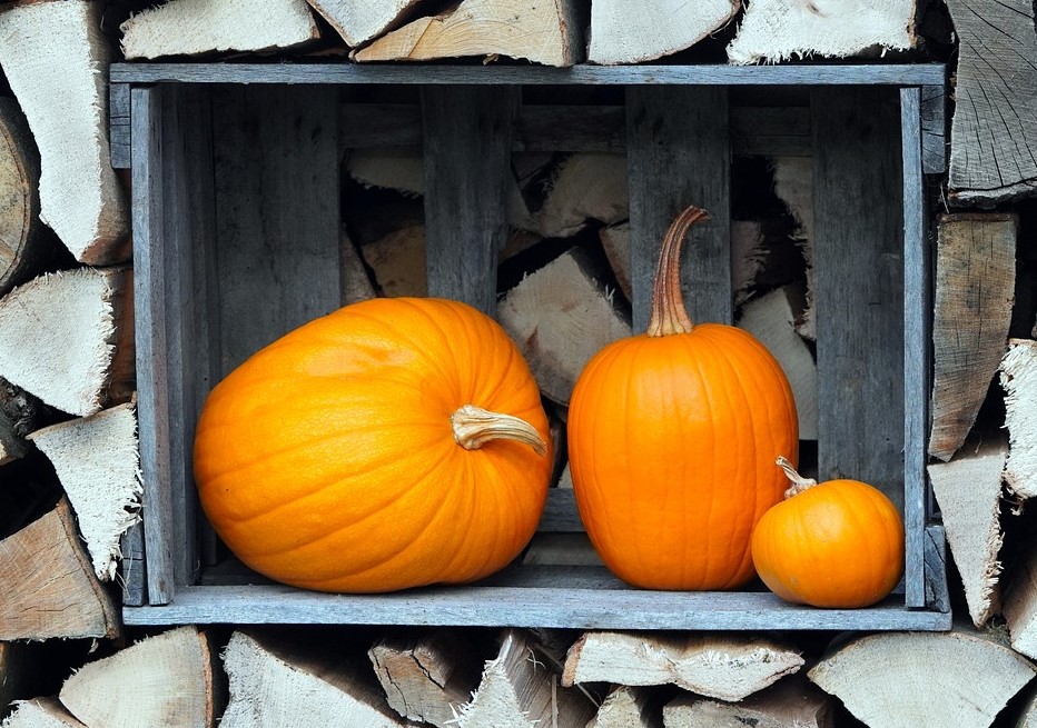 three pumpkins