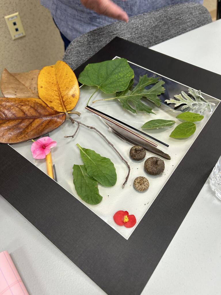 Various leaves, acorns, and flowers on a matted picture frame