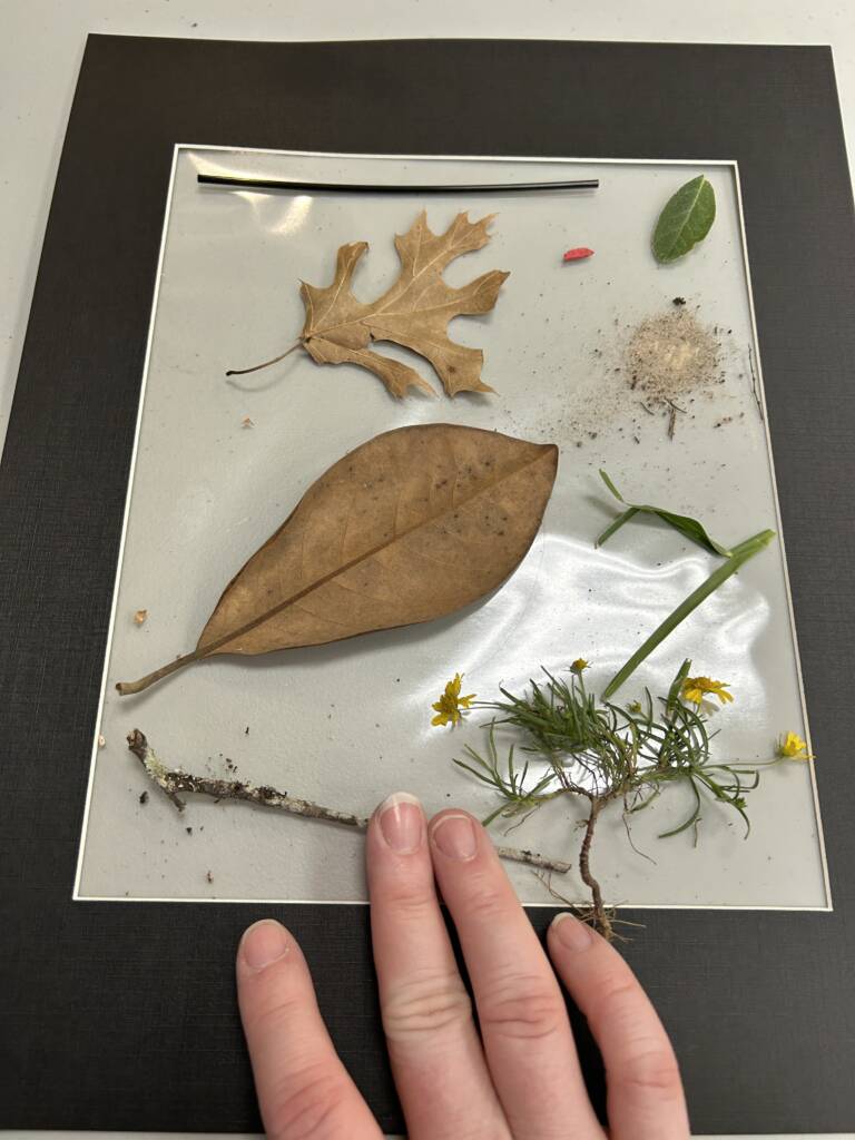 An example of the complete project with items from nature in the frame.