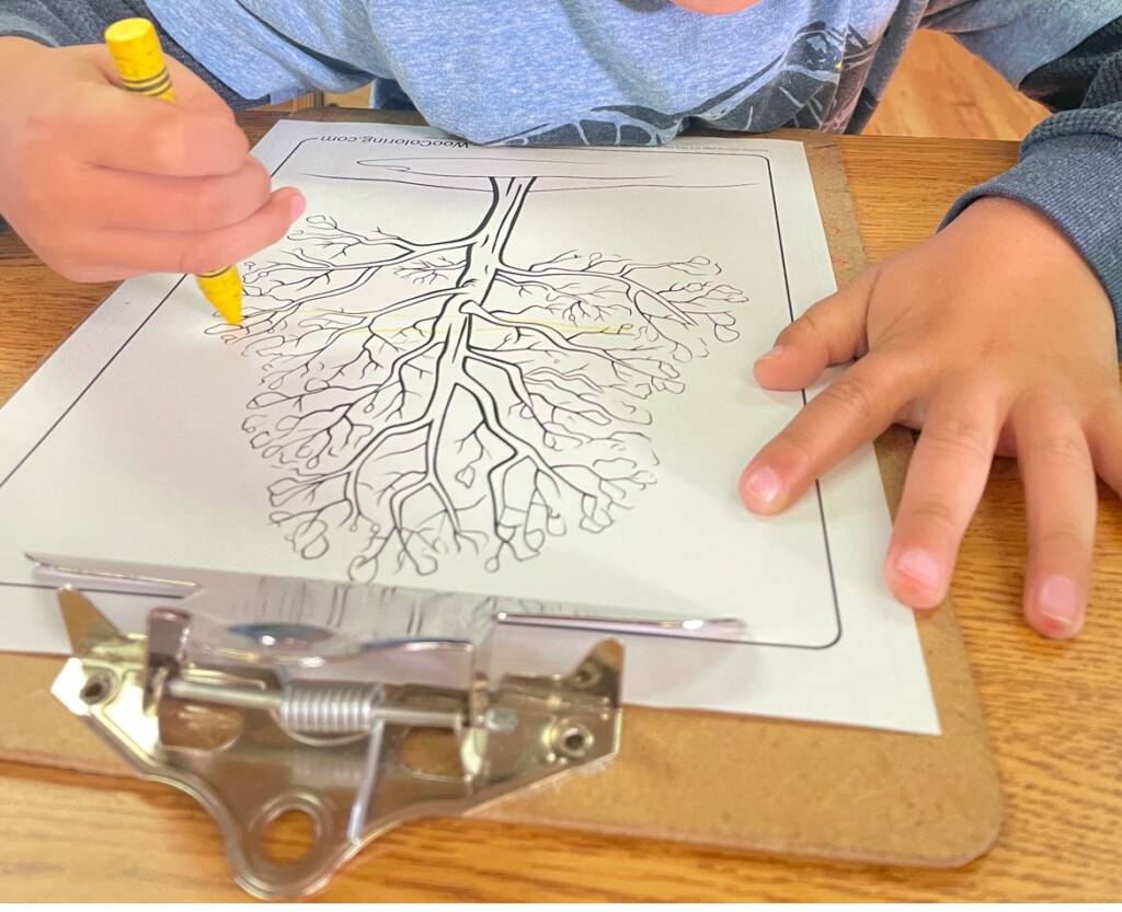 Student coloring a worksheet of a tree on in with a clipboard.